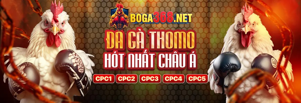 Đá gà trực tuyến kịch tính tại mmwin link vào